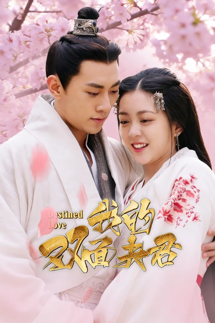 Xem phim Phu Quân Hai Mặt Của Ta - Full HD Vietsub